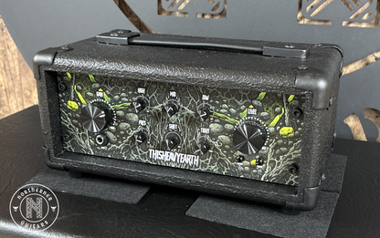 NEW ThisHeavyEarth FleshRot 200W Guitar Amp Head (Various Colors)