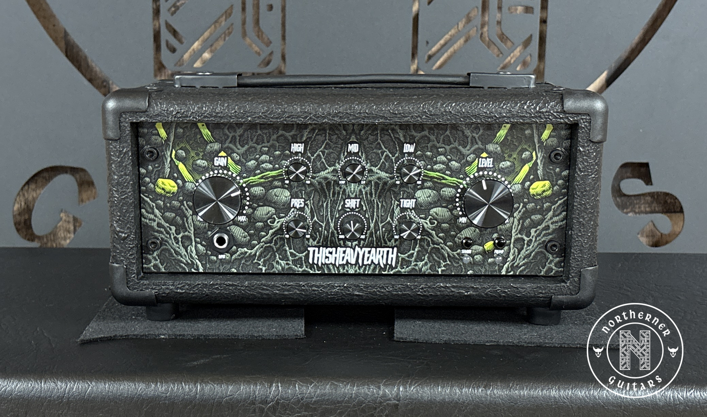 NEW ThisHeavyEarth FleshRot 200W Guitar Amp Head (Various Colors)