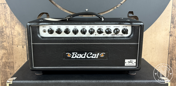 USED Bad Cat Hot Cat 50 Head Mod Shop Edition 2026