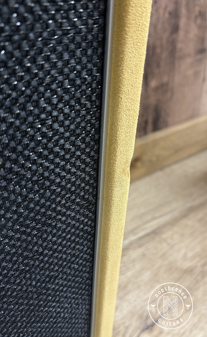NEW Amplified Nation Ampliphonix and Gain 1x12 Combo Buckskin Suede