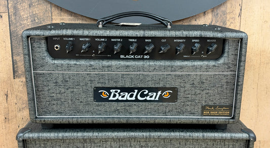 NEW Bad Cat Black Cat 30 Head Mark Sampson Mod Shop Edition Pewter Trout Bronco Tolex