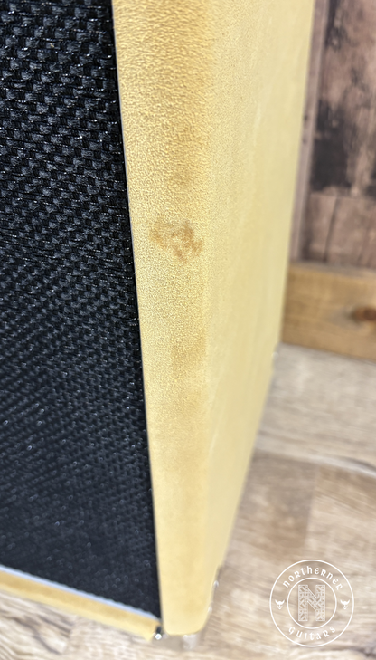 NEW Amplified Nation Ampliphonix and Gain 1x12 Combo Buckskin Suede