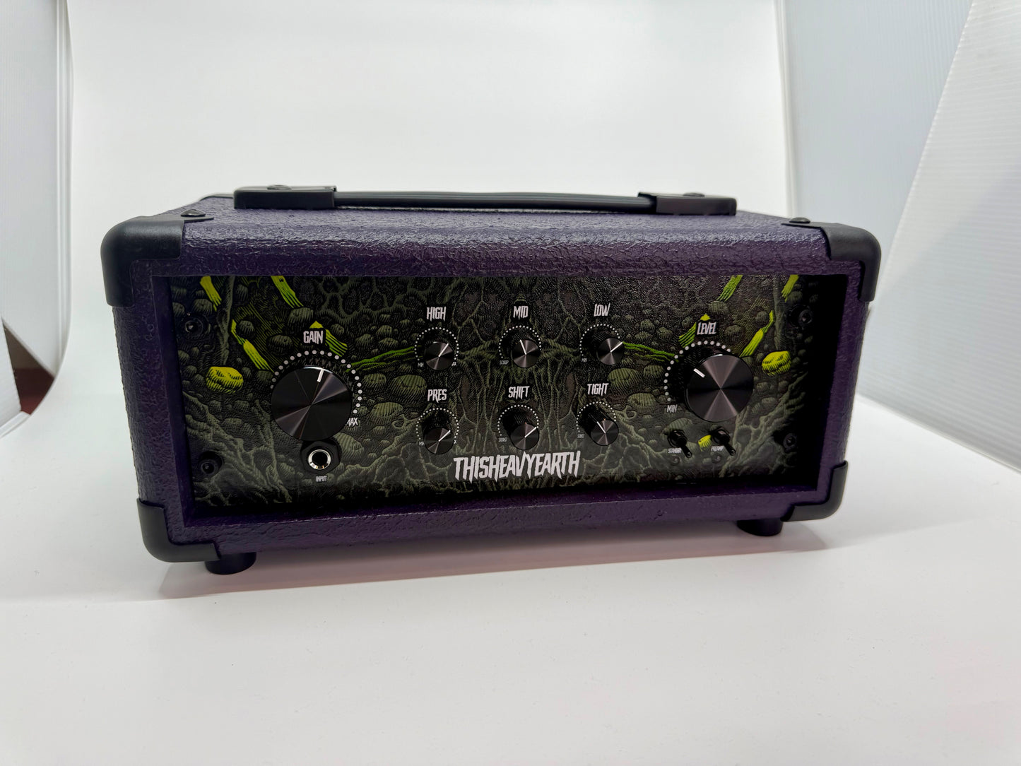 NEW ThisHeavyEarth FleshRot 200W Guitar Amp Head (Various Colors)