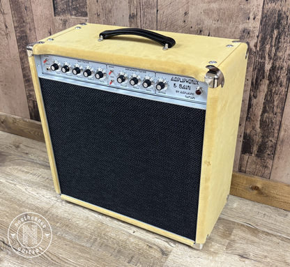NEW Amplified Nation Ampliphonix and Gain 1x12 Combo Buckskin Suede