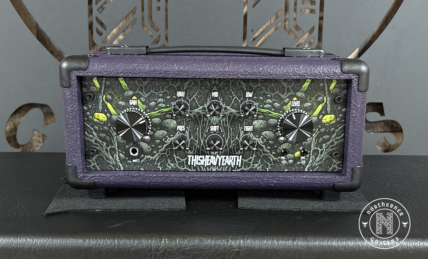 NEW ThisHeavyEarth FleshRot 200W Guitar Amp Head (Various Colors)