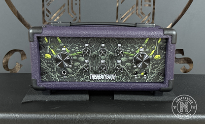 NEW ThisHeavyEarth FleshRot 200W Guitar Amp Head (Various Colors)