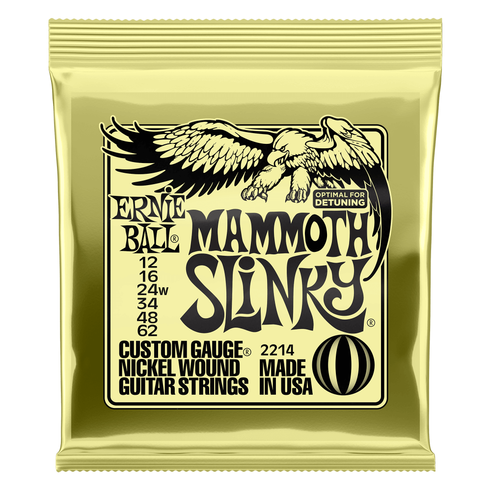 Ernie Ball Mammoth Slinky .012 - .062