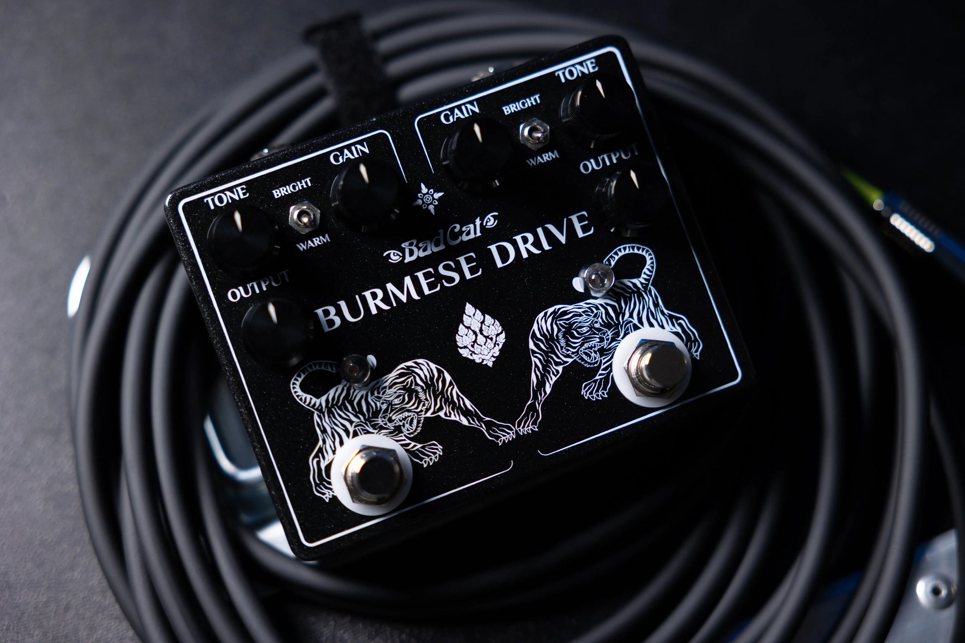 NEW Bad Cat Burmese Drive Dual Vintage Overdrive - Northerner Guitars